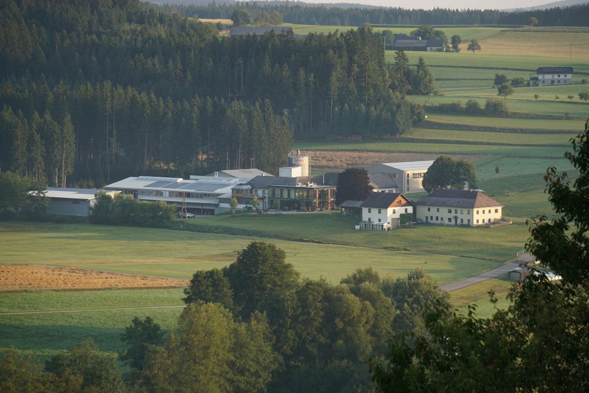 Panorma_Firma